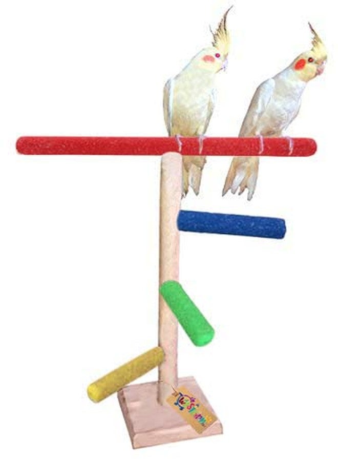 ويستيرن إرا مجثم رملي كامل للطيور من الخشب الطبيعي بطول 16 بوصة / 41 سم من العصر الغربي (قطعة واحدة) - Image 1